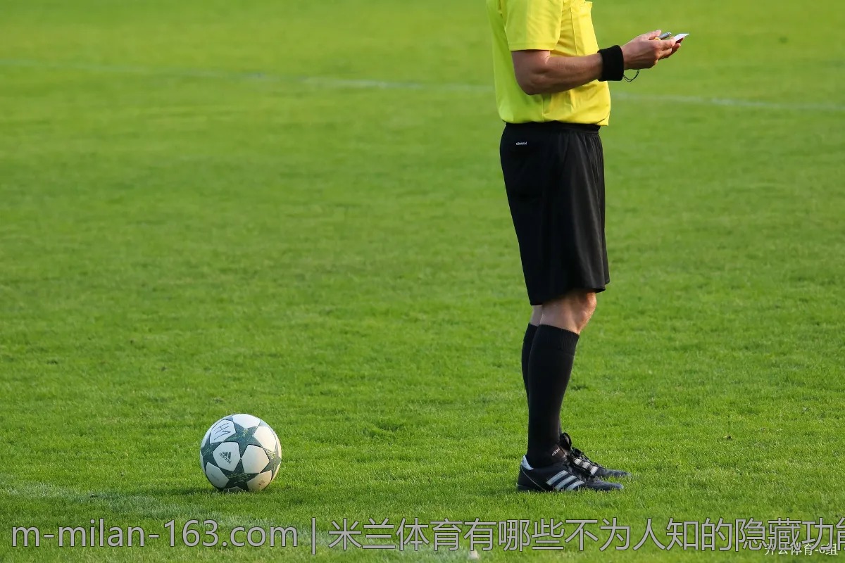 米兰体育有哪些不为人知的隐藏功能？探讨分享